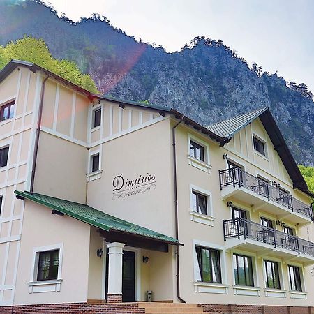 Pensiunea Dimitrios & Spa - Baile Herculane -Valea Cernei-Terapie Spa -Relaxare A Mintii Si A Trupului Ce Ajuta La Eliberarea Stresului Si A Blocajelor Negative Hotel Exterior foto